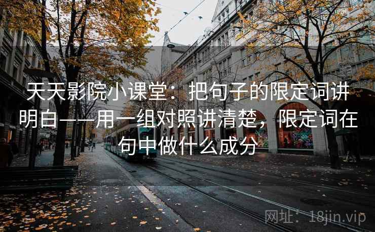 天天影院小课堂：把句子的限定词讲明白——用一组对照讲清楚，限定词在句中做什么成分